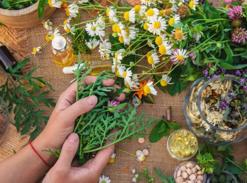 flor-da-paixao:-conheca-planta-poderosa-no-controle-da-ansiedade