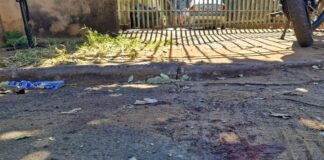 homem-e-mutilado-por-pit-bulls-e-passa-por-cirurgia.-video