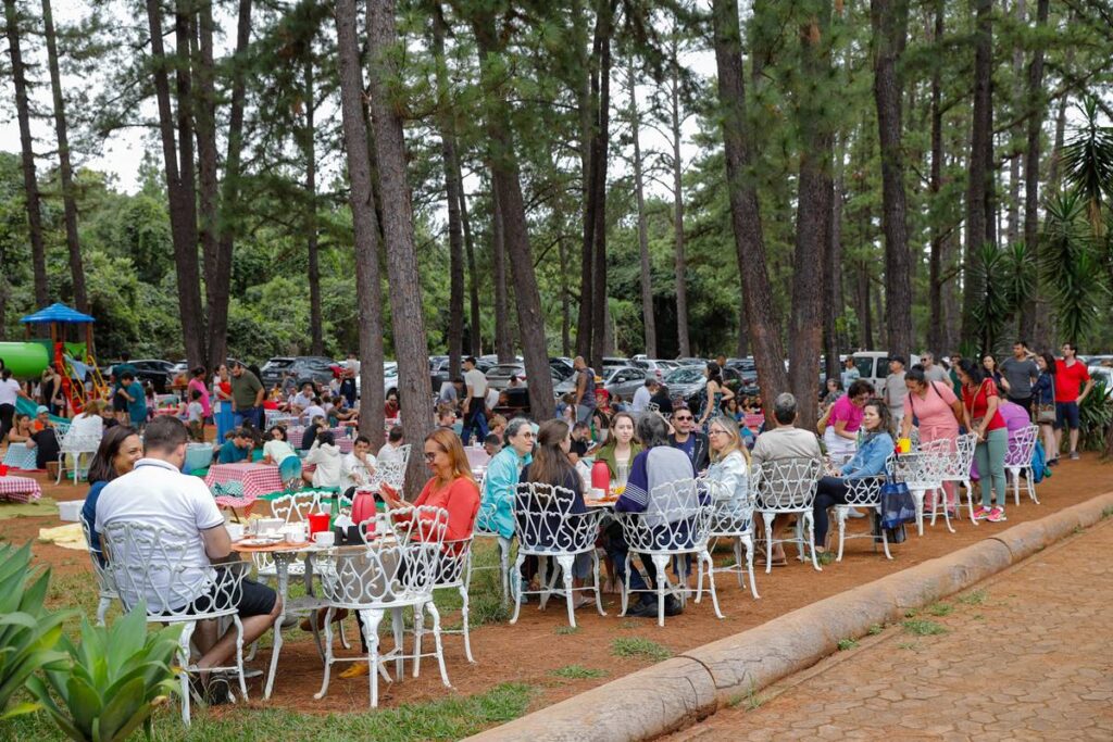 jardim-botanico-de-brasilia-substituira-pinheiros-por-arvores-nativas