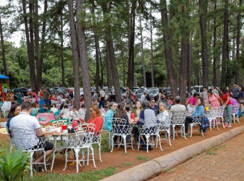 jardim-botanico-de-brasilia-substituira-pinheiros-por-arvores-nativas