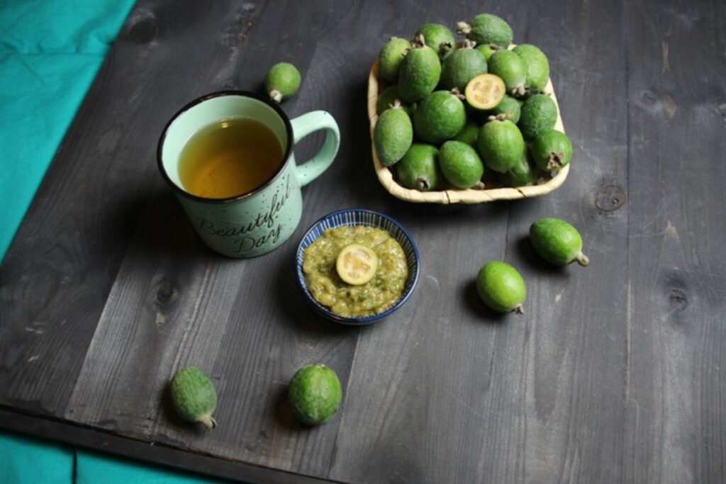 6-beneficios-do-cha-de-folha-de-goiaba-para-sua-saude-e-como-preparar