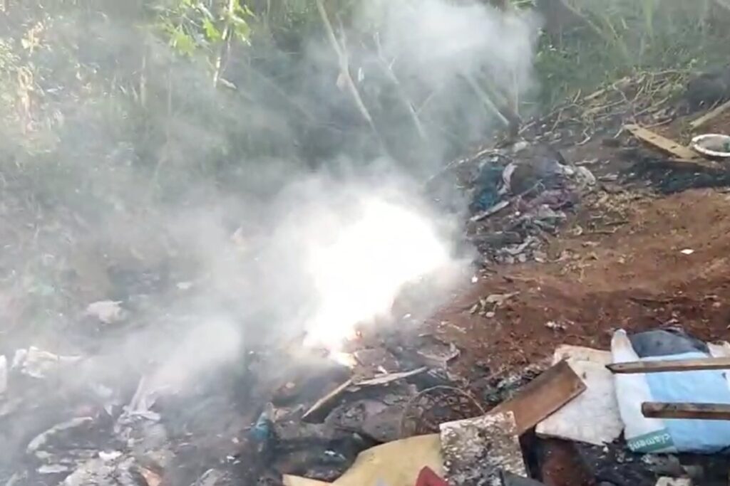 video:-funcionarios-acham-2-corpos-recem-carbonizados-em-parque-de-sp