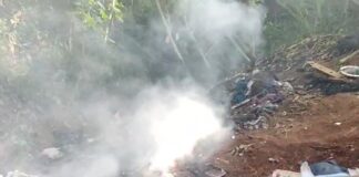 video:-funcionarios-acham-2-corpos-recem-carbonizados-em-parque-de-sp