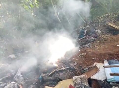 video:-funcionarios-acham-2-corpos-recem-carbonizados-em-parque-de-sp