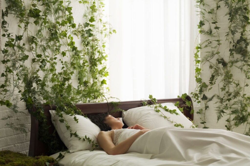 5-plantas-para-ter-no-quarto:-elas-melhoram-sono-e-limpam-o-ar