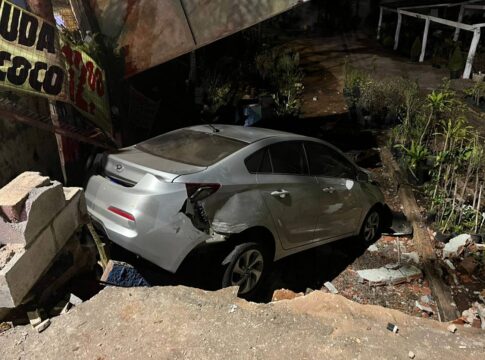 carro-desgovernado-derruba-muro-e-invade-floricultura-no-df.-video