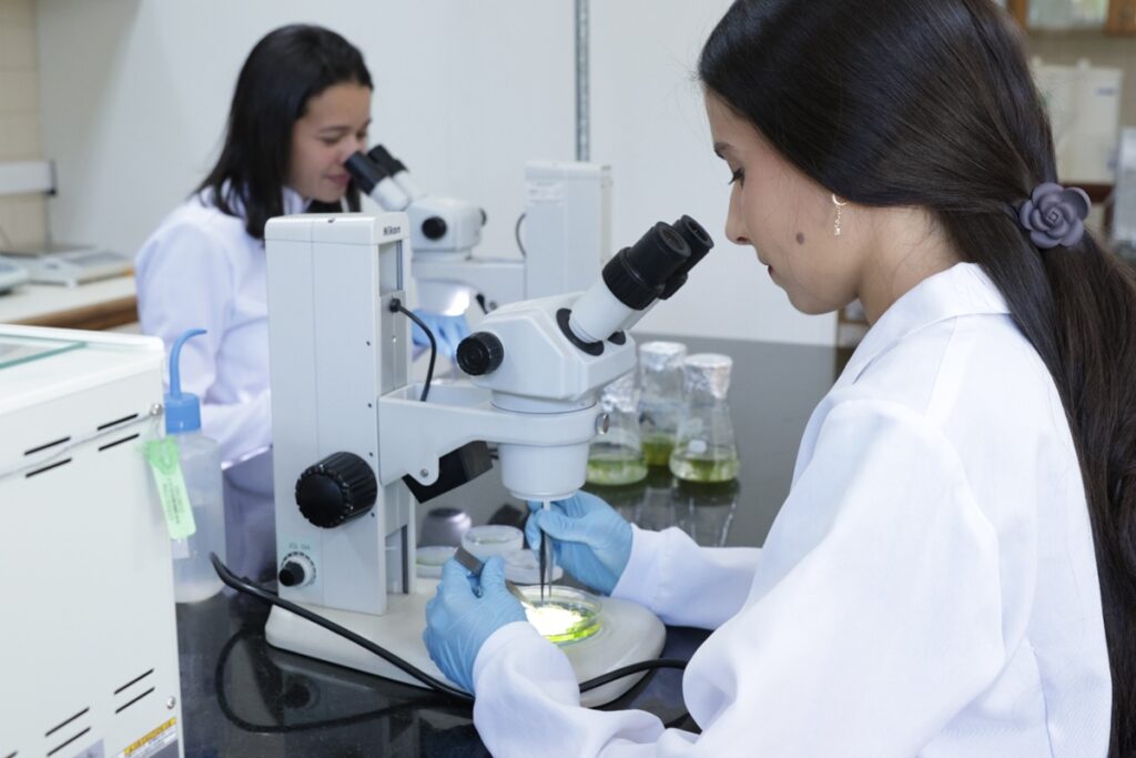 grupo-do-df-vai-ao-artico-para-estudar-plantas-que-podem-tratar-cancer