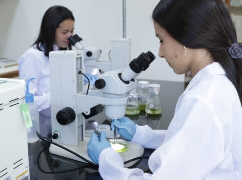 grupo-do-df-vai-ao-artico-para-estudar-plantas-que-podem-tratar-cancer