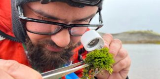 as-plantas-com-potencial-para-tratar-cancer-e-melhorar-agricultura