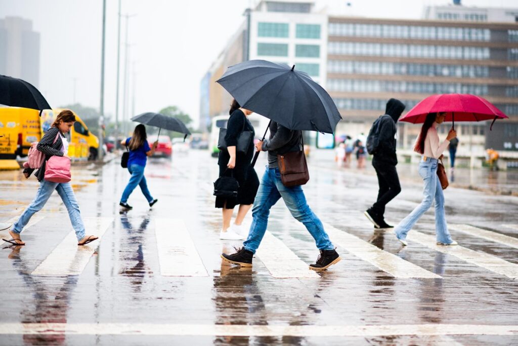 pais-tem-geada,-muita-chuva-e-temperatura-pode-cair-a-3oc;-saiba-onde