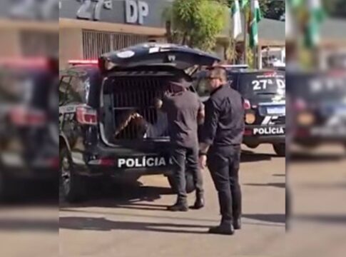 pedofilo-preso-no-df-atraia-criancas-via-redes-sociais-e-jogos-online