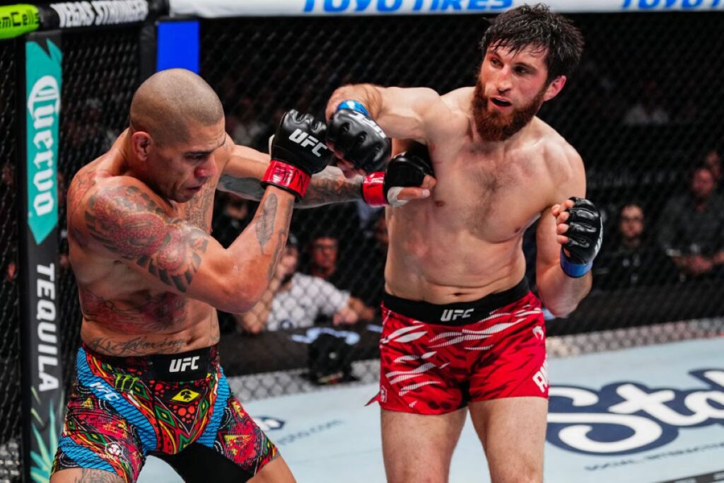 dana-white-confirma-ufc-320-com-revanche-de-brasileiro.-confira