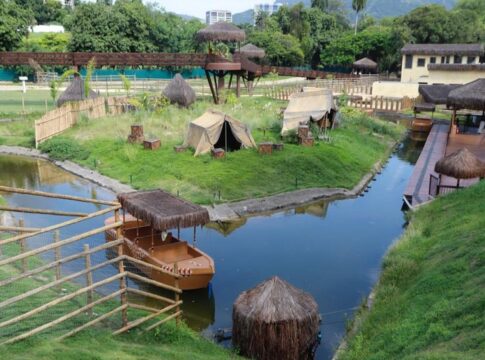 galinhas-d’angola-do-bioparque-no-rio-morreram-de-gripe-aviaria