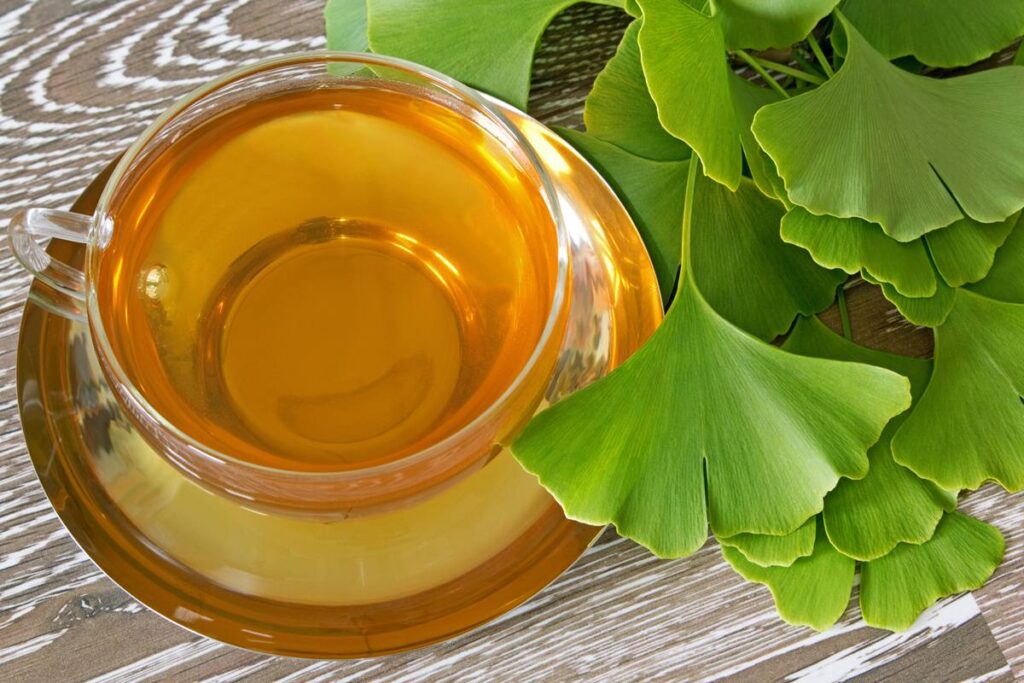 cha-de-planta-milenar-beneficia-o-cerebro-e-a-circulacao-sanguinea