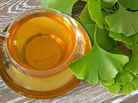 cha-de-planta-milenar-beneficia-o-cerebro-e-a-circulacao-sanguinea
