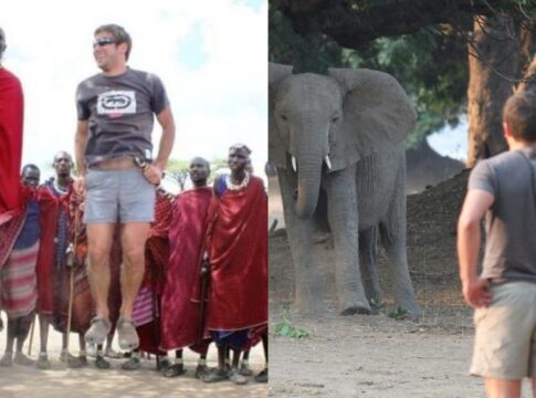 dono-de-safari-morre-pisoteado-por-elefante-na-africa-do-sul