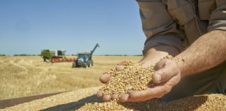 pais-consegue-produzir-todos-os-alimentos-dos-quais-precisa.-entenda