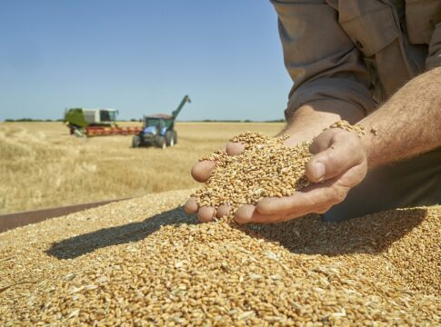 pais-consegue-produzir-todos-os-alimentos-dos-quais-precisa.-entenda