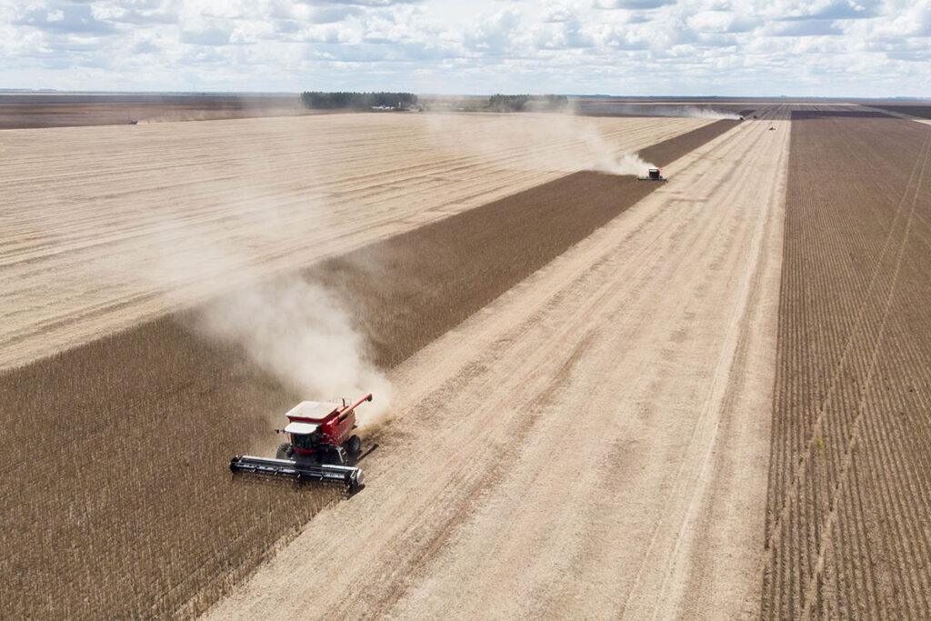 estudo-mostra-como-vivem-moradores-das-50-cidades-com-maior-pib-agro