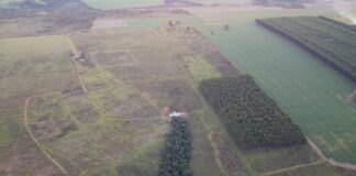 mpgo-fecha-acordos-para-2.630-hectares-de-area-preservada-no-entorno