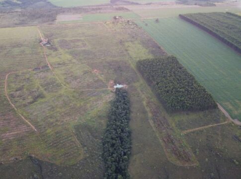 mpgo-fecha-acordos-para-2.630-hectares-de-area-preservada-no-entorno