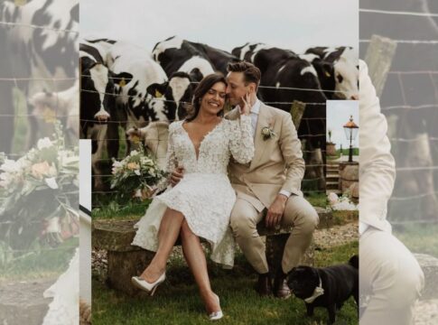 vacas-penetras-“invadem”-casamento-para-assistir-a-cerimonia;-video