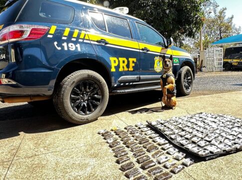 casal-e-preso-com-17-kg-de-haxixe-escondidos-em-carro-na-br-060