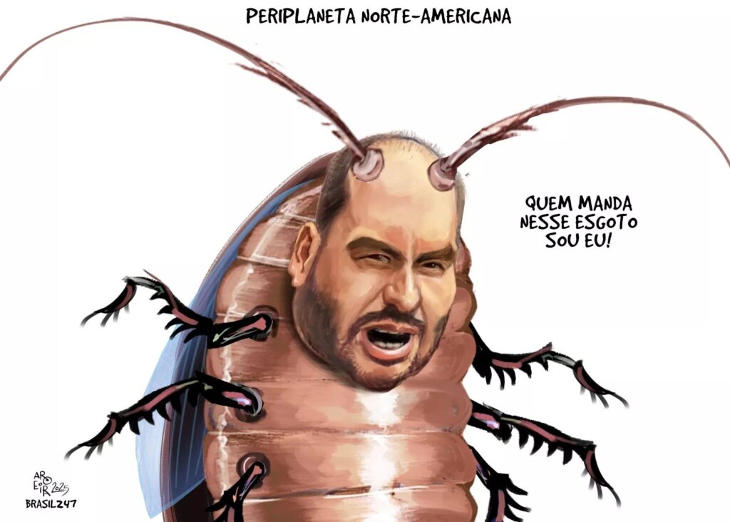 charge-do-aroeira