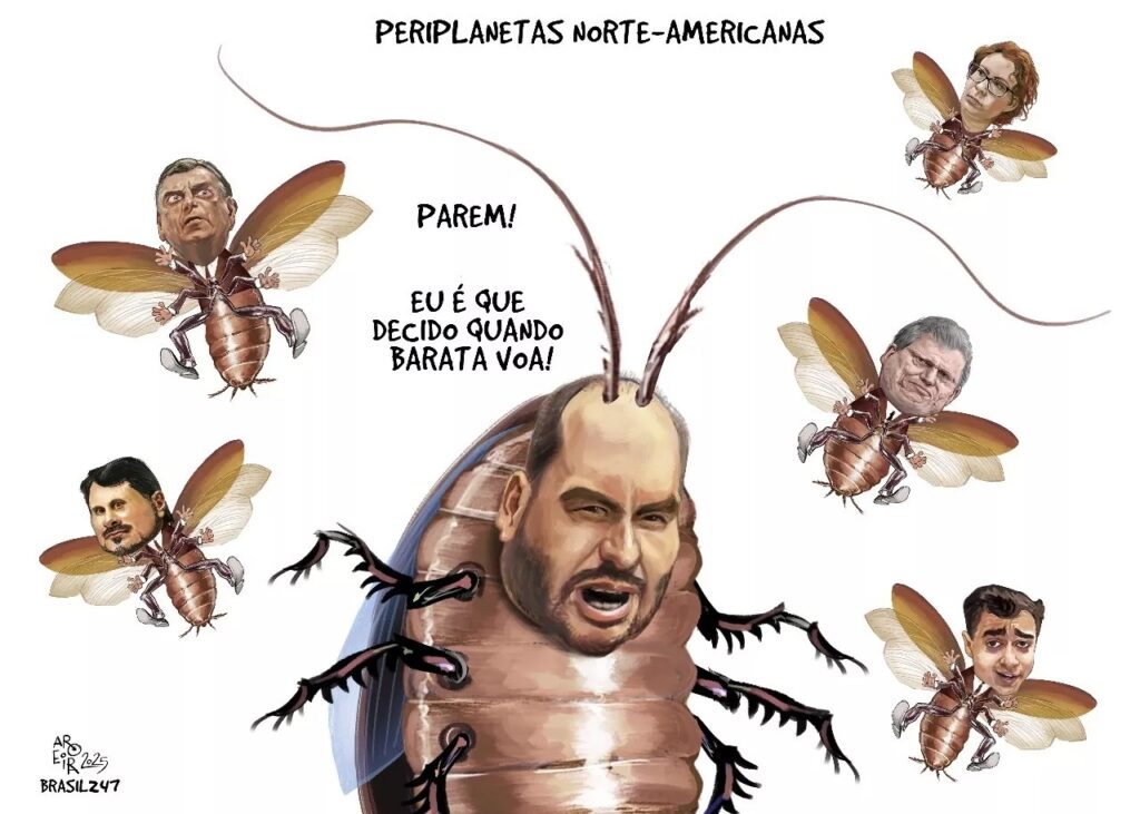 charge-do-aroeira