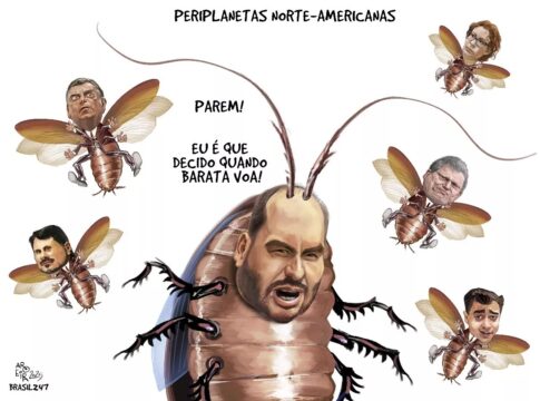 charge-do-aroeira