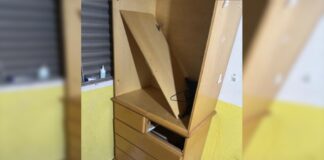 mae-agredida-em-casa-pelo-filho-ja-obteve-medida-protetiva-contra-ele