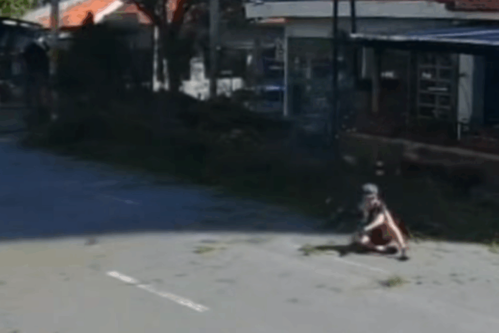 que-susto!-ciclista-escapa-de-queda-de-arvore-por-milimetros.-video