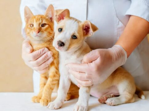 prefeito-veta-projeto-de-folga-a-servidores-por-morte-de-pets