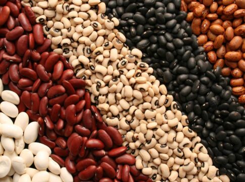 feijao:-conheca-os-tipos,-beneficios-e-como-usa-los-no-dia-a-dia