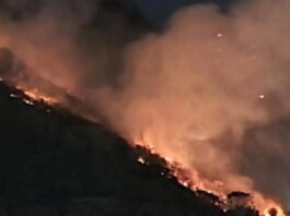 lula-lamenta-morte-de-servidores-do-ibge-em-combate-a-incendio