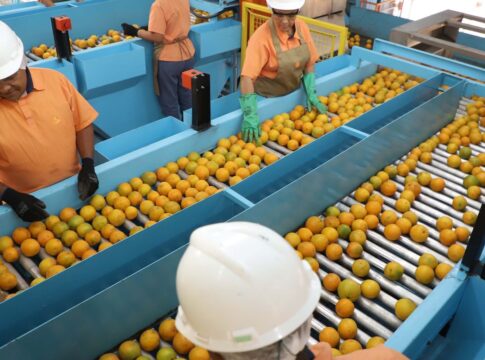 confira-a-lista-de-quase-700-produtos-que-nao-serao-taxados-pelos-eua