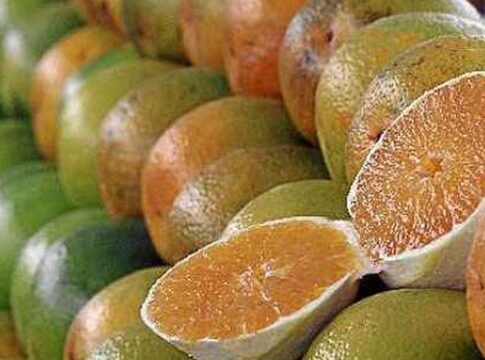 excecoes-do-tarifaco-representam-43,4%-do-valor-exportado-aos-eua