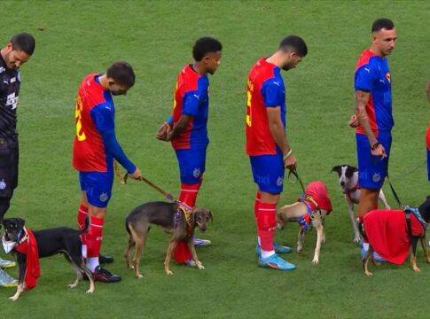 jogadores-do-bahia-entram-em-campo-com-cachorros-para-adocao;-veja