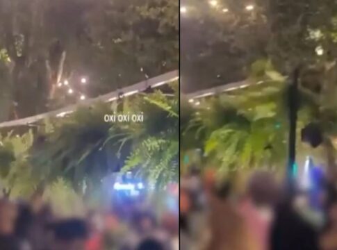 publico-furta-500-samambaias-em-festa-e-causa-prejuizo-de-r$-7-mil