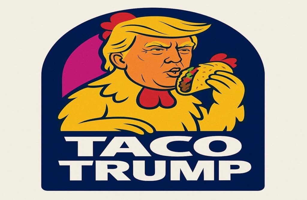 taco-miou-de-novo.-(por-tania-fusco)