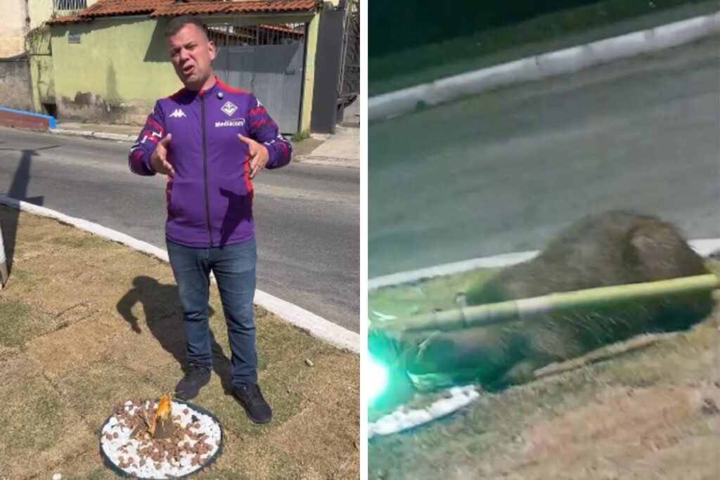 prefeito-se-revolta-com-vandalismo,-mas-“criminosas”-eram-capivaras