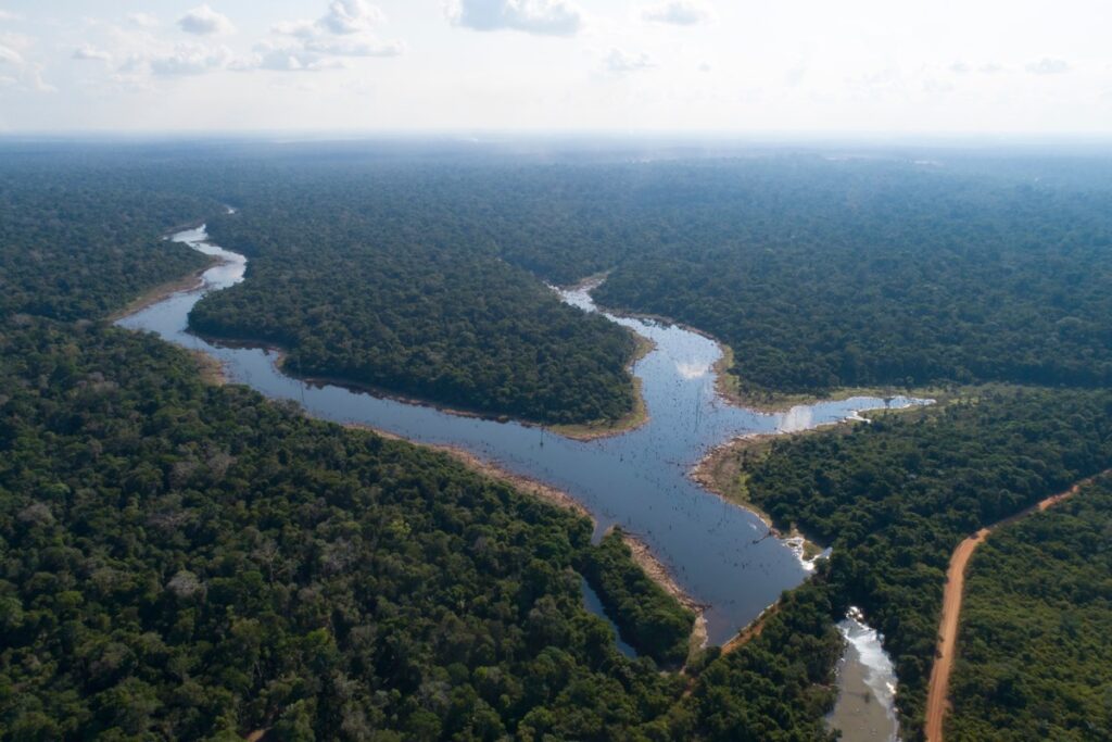 estudo-revela-queda-de-18%-no-desmatamento-da-amazonia-em-junho