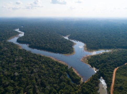 estudo-revela-queda-de-18%-no-desmatamento-da-amazonia-em-junho