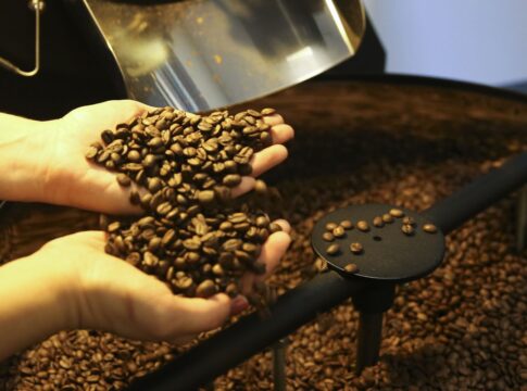 setor-cafeeiro-pode-ser-forcado-a-redirecionar-producao,-diz-cepea/usp