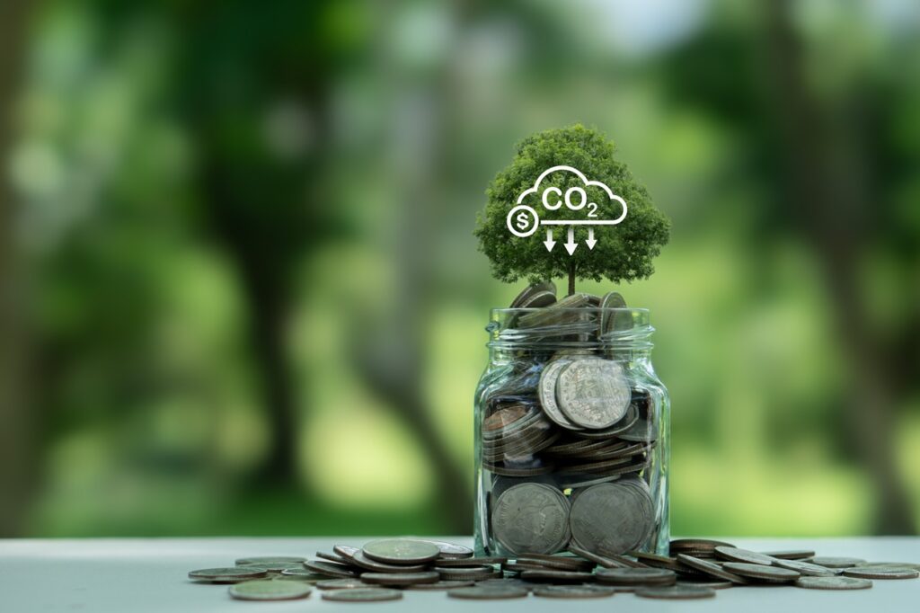 bndes-planeja-projeto-de-restauracao-lastreado-em-creditos-de-carbono