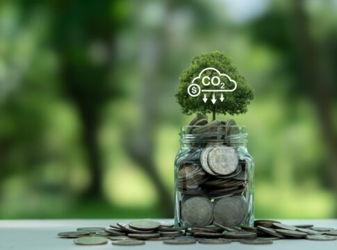 bndes-planeja-projeto-de-restauracao-lastreado-em-creditos-de-carbono