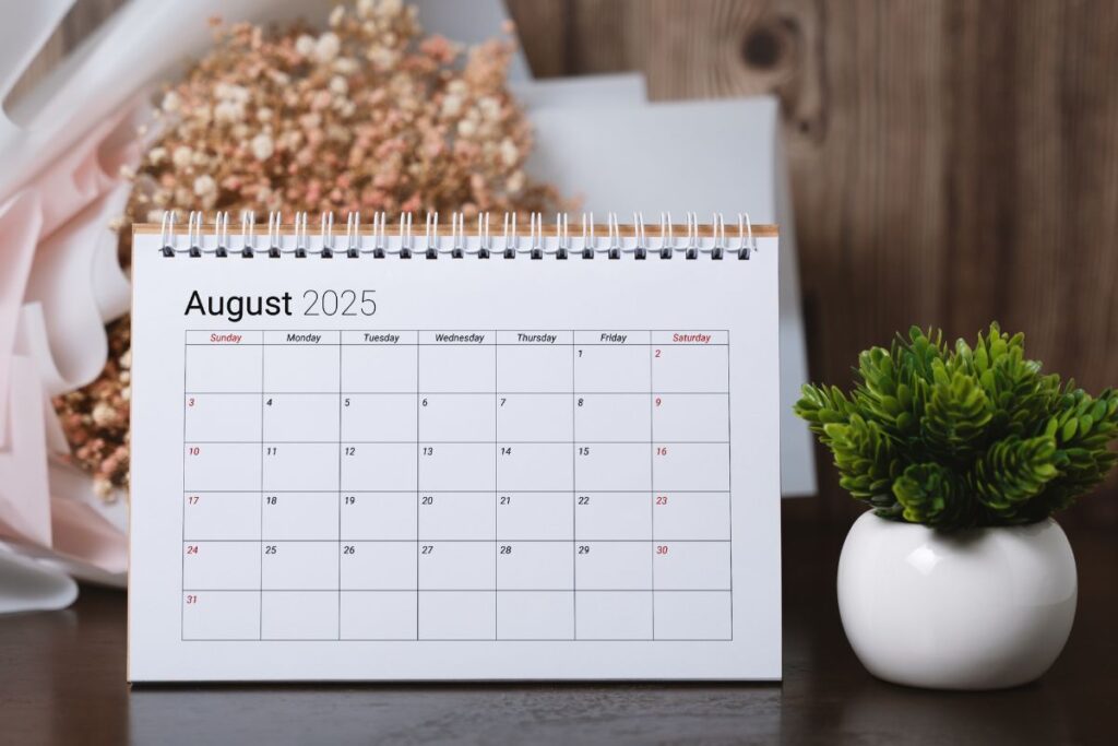 taro-em-agosto:-descubra-as-previsoes-para-todos-os-signos