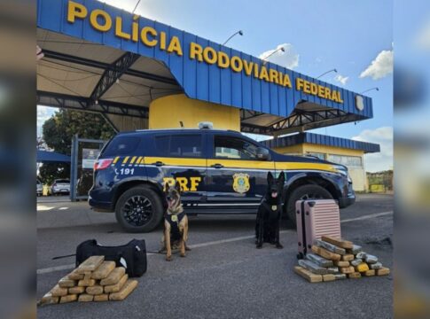 caes-da-prf-encontram-29-kg-de-maconha-com-passageiras-de-onibus-no-df