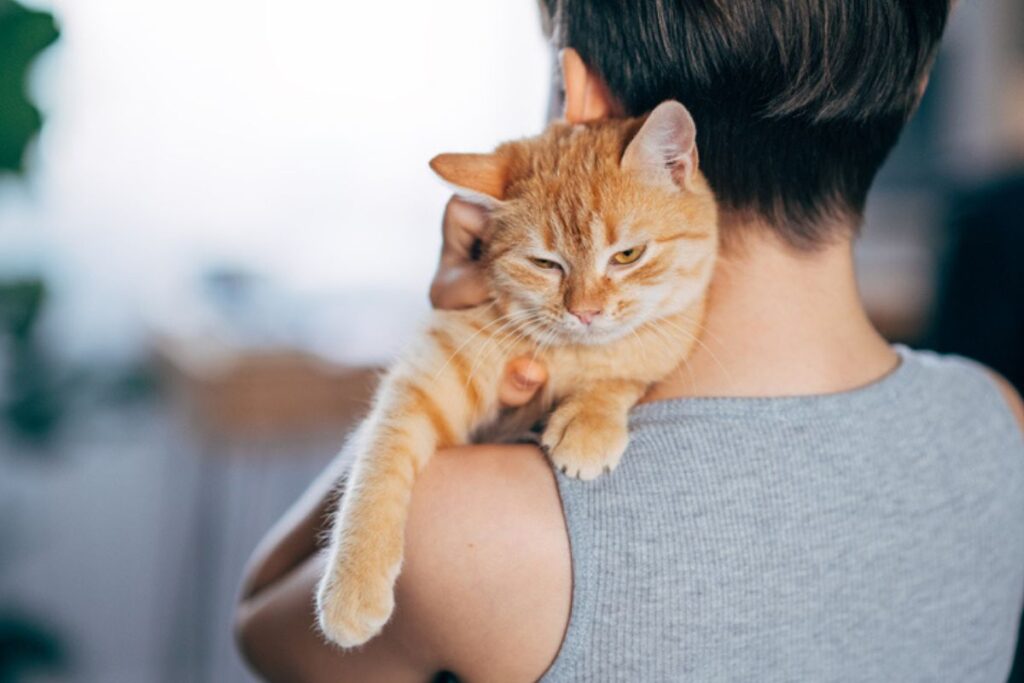 seis-sinais-de-que-voce-e-a-pessoa-preferida-do-seu-gato