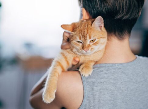 seis-sinais-de-que-voce-e-a-pessoa-preferida-do-seu-gato